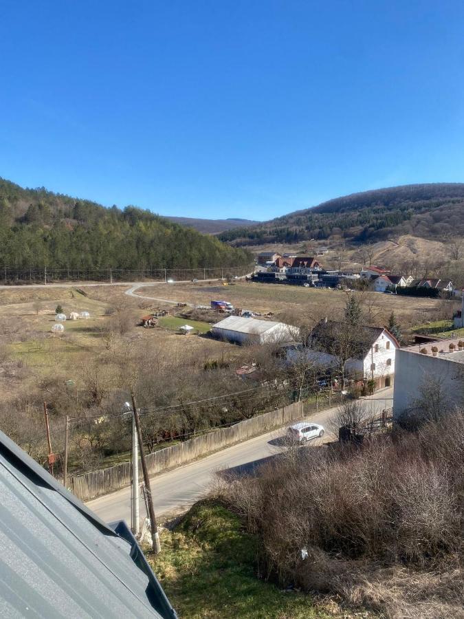 Andrew Apartaments Cluj Napoca Bagian luar foto